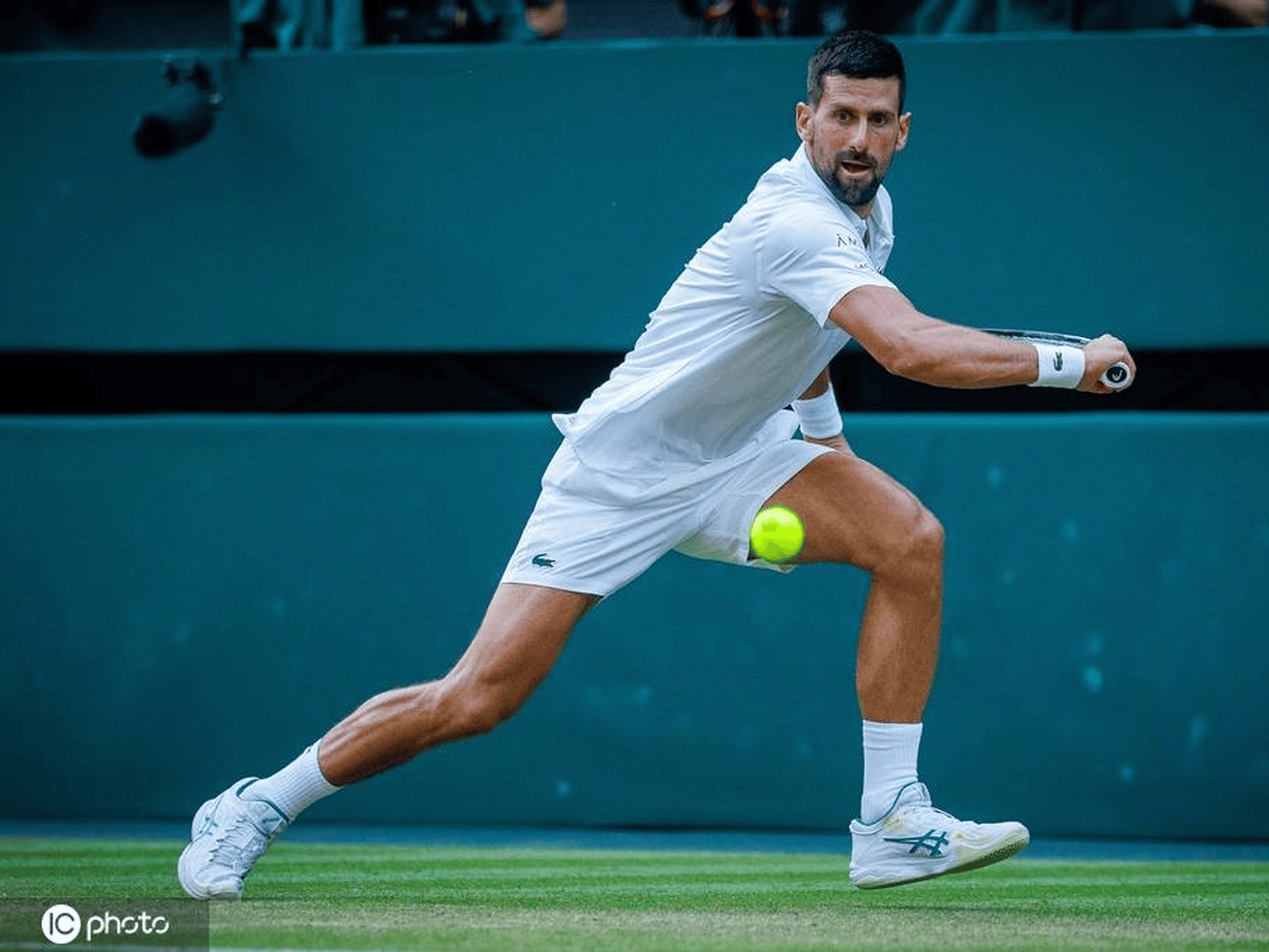 ATP总决赛轻取联合杯,德约科维奇关键制胜的简单介绍 ATP总决赛轻取联合杯,德约科维奇关键制胜的简单介绍