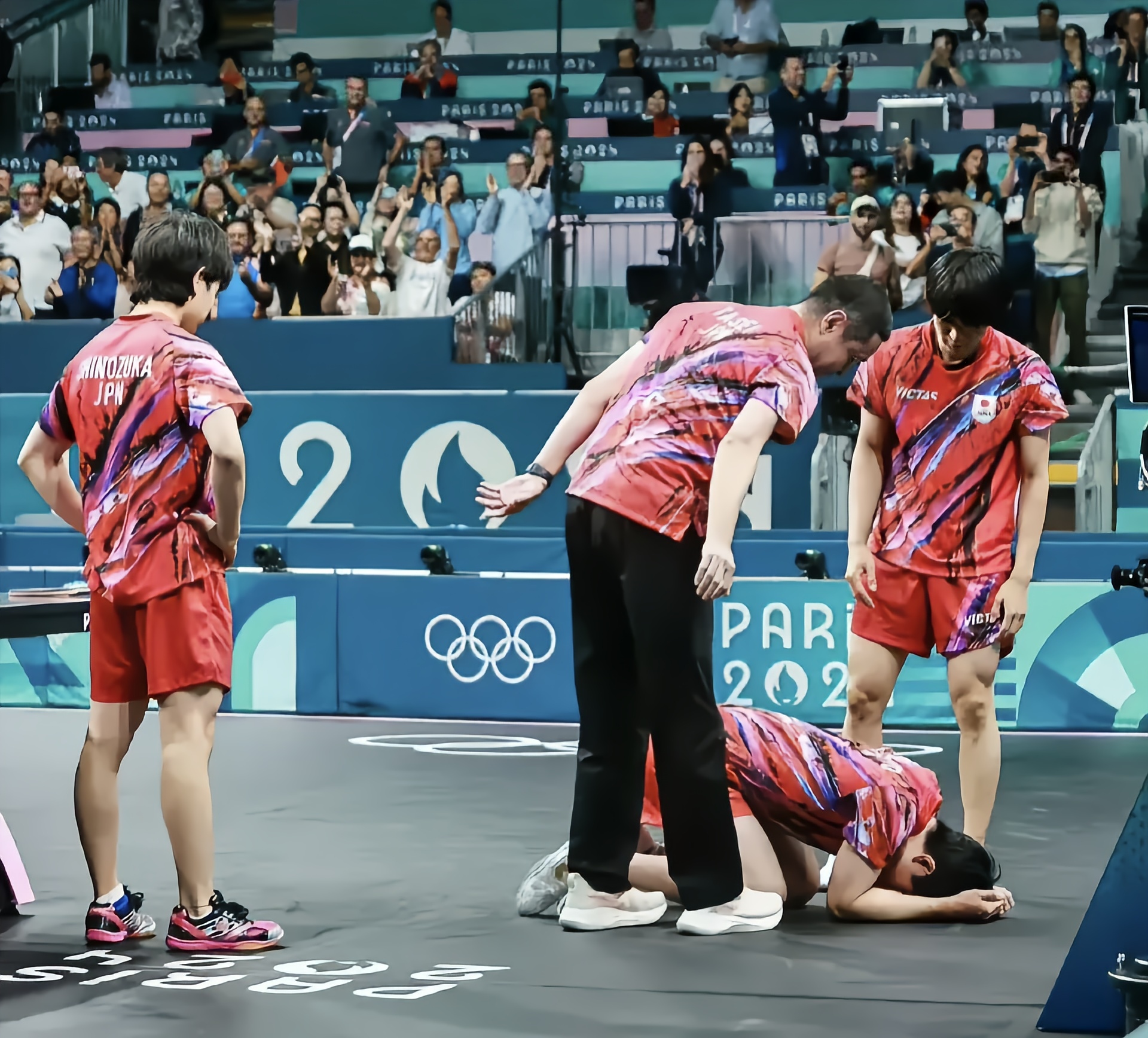 波兰队鏖战韩国队，张本智和统治全场