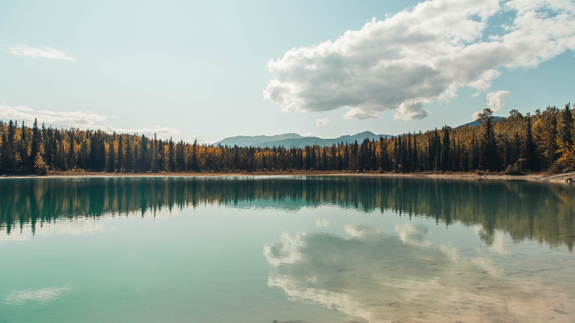 夜凉如水，天山雪崩，新疆末节屠龙记，欧文关键先生本色