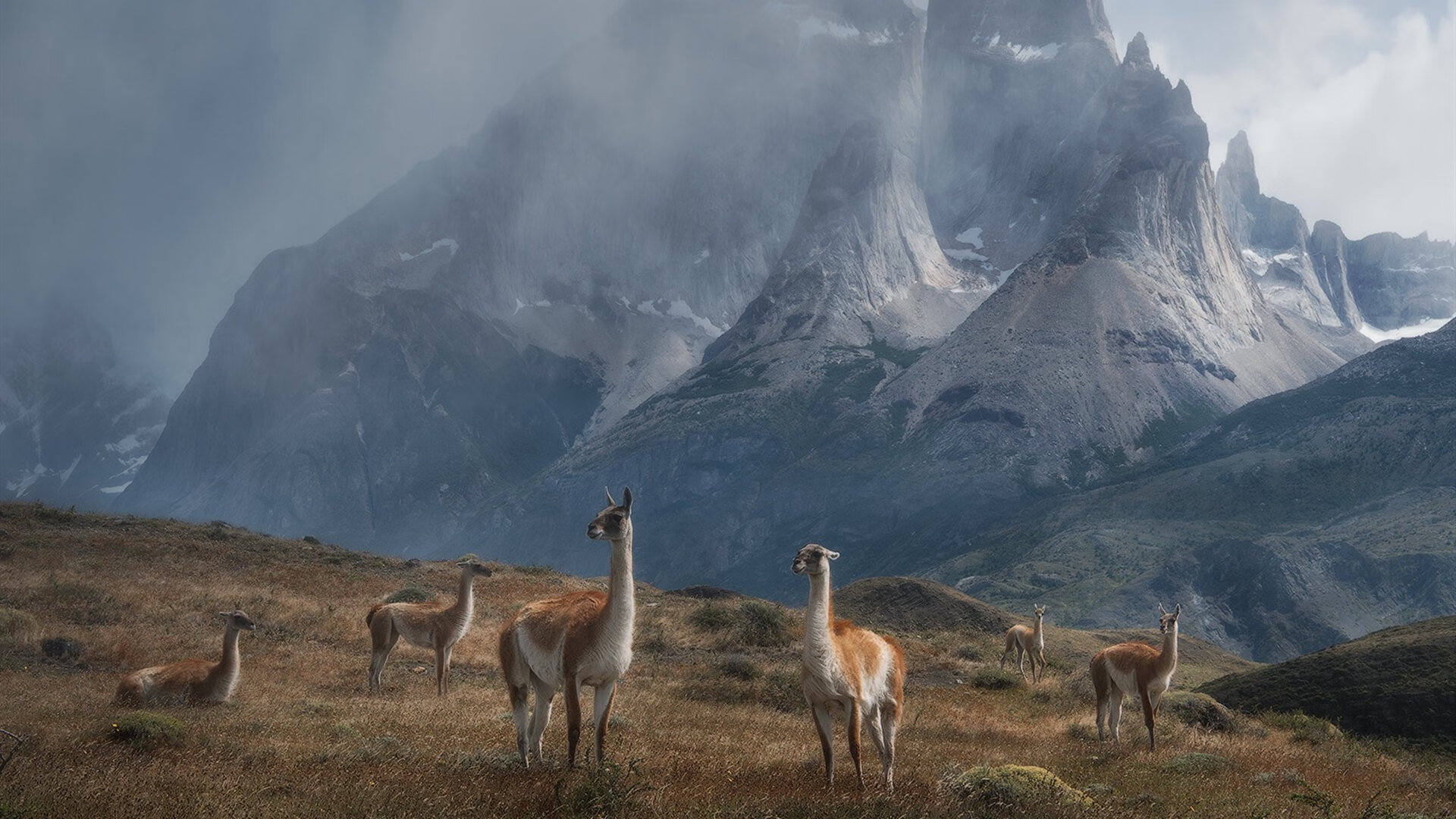 夜凉如水，天山雪崩，新疆末节屠龙记，欧文关键先生本色