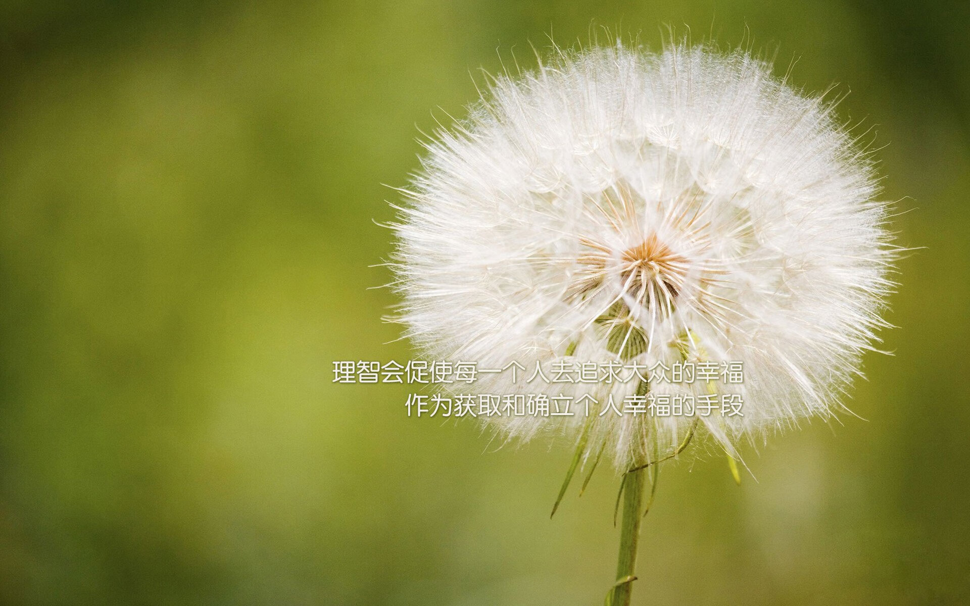 死神敲钟，当詹姆斯在第三节的寂静里完成了胜利