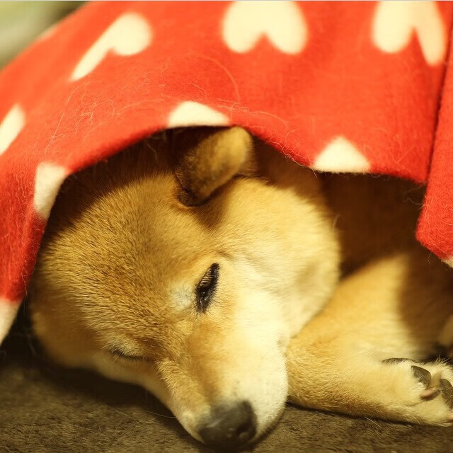 审判日,抢七之夜的卢卡库如何让所有质疑成为回响