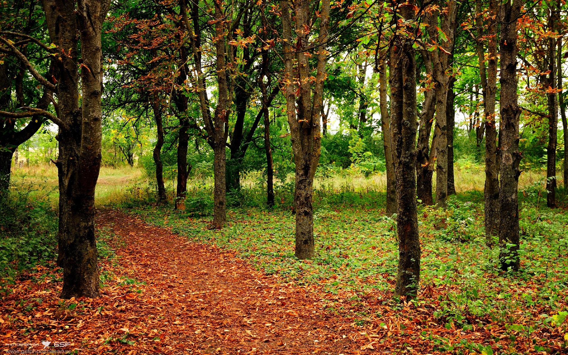 蓝桥咏叹调，李刚仁为切尔西谱写的节奏革命