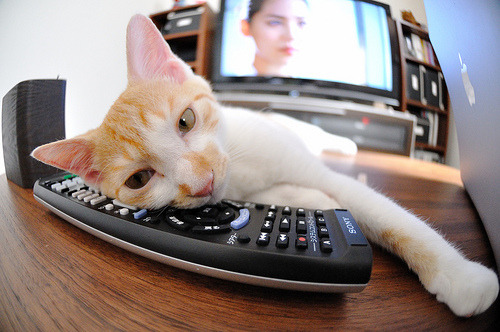 当孟菲斯怒吼遇见纽约心跳,爱德华兹的全球篮球霸权宣言