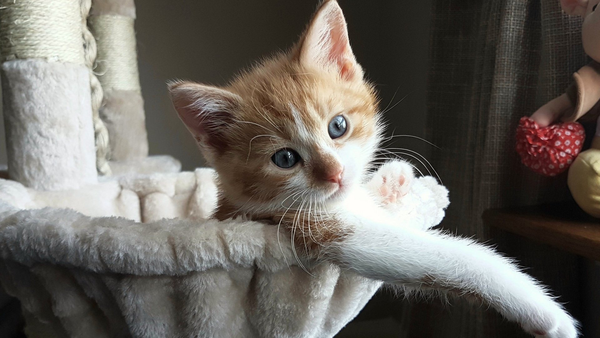 当F1引擎咆哮时，他在绿茵场投下惊雷