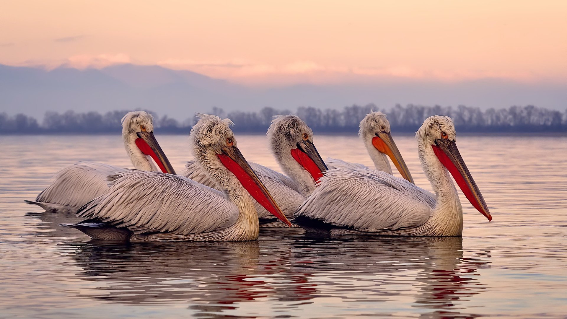 冰与火之歌，从杭州到纽约，决胜时刻的两种心跳