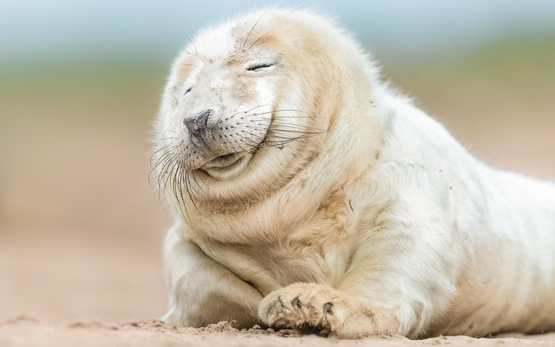 辽篮跨洋奇袭，当‘东北虎’咬伤紫金王朝，哈登化身关键先生