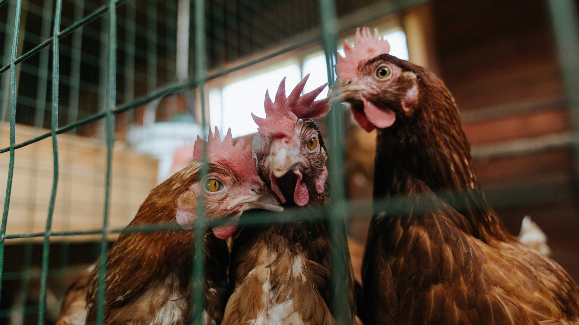 光芒属于坚持者