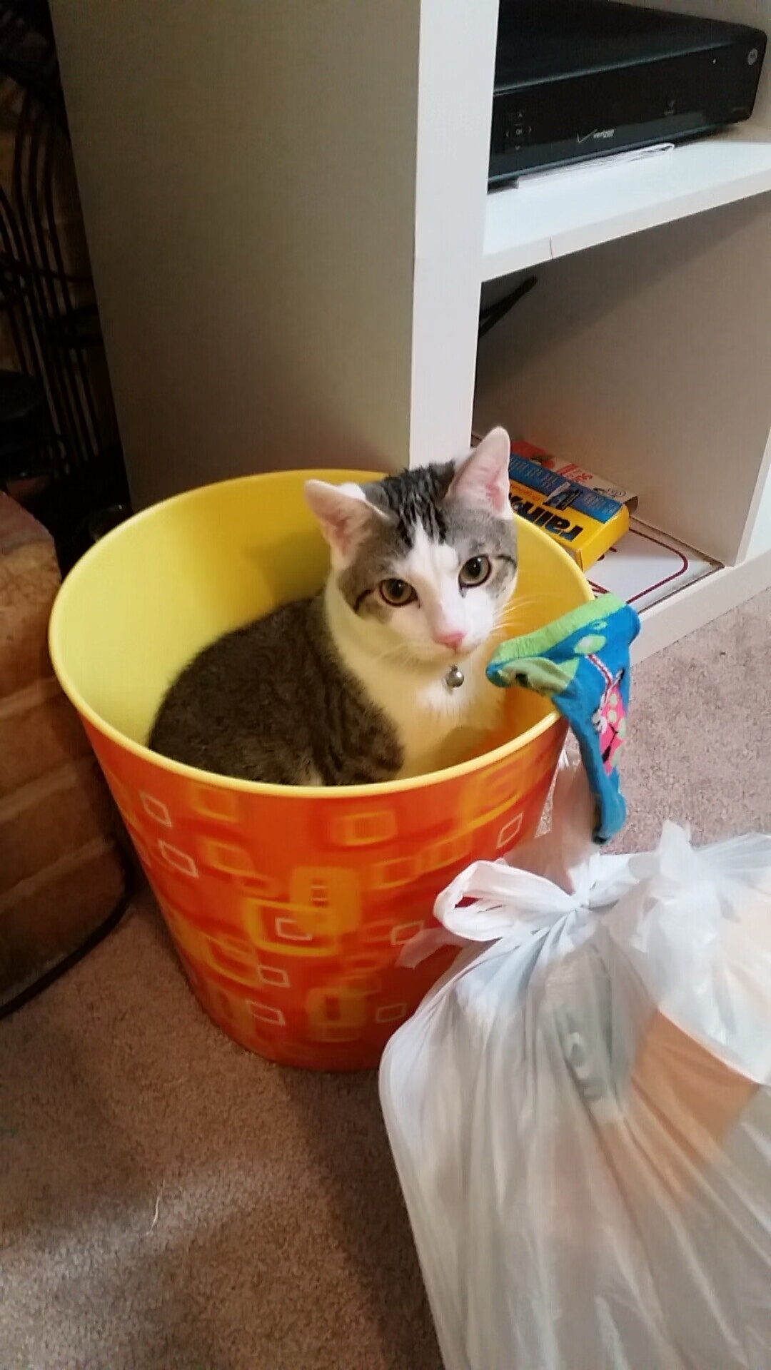 节奏的艺术，库里掌控时间，辽宁重构空间